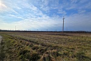 ділянка за адресою Головна
