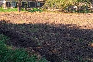 участок по адресу с. Стайки, Колгоспна, 32