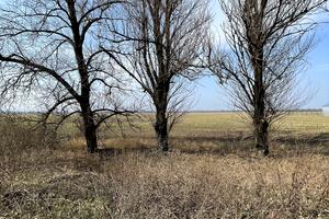 ділянка за адресою Смілянська