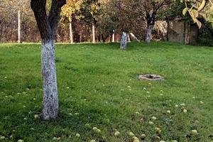 дом по адресу п. Светлое, Западная