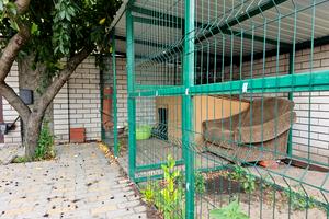 будинок за адресою Литвишка
