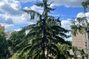 квартира за адресою Тролейбусна вул., 3-Б