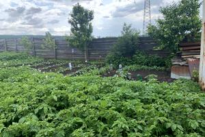 участок по адресу Ирпень, 6-я Линия ул.