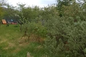 ділянка за адресою Мельниківська