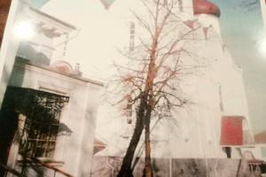 комерційна за адресою Зелений пров., 1а