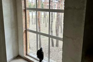 будинок за адресою Лісова вул., 50
