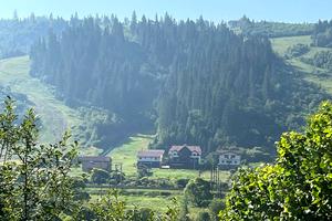ділянка за адресою Олени Степанівні, 95