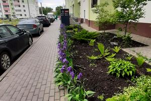 квартира по адресу Мира ул., 53