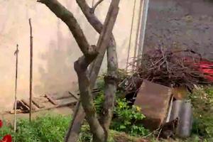 дом по адресу Одесса, 21-й км Старокиївської дороги ул.