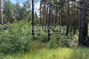 ділянка за адресою Броварський просп.