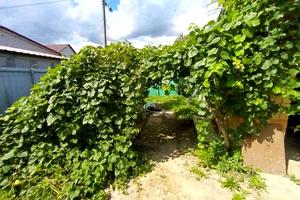дом по адресу Кругла, 3
