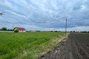 ділянка за адресою с. Борохів, 