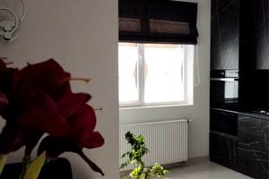 квартира за адресою Пасічна вул., 25А