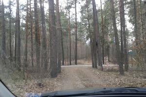 ділянка за адресою Березова
