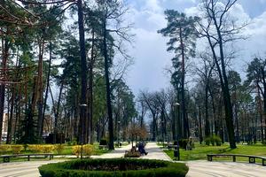 коммерческая по адресу Матвія Донцова ул. (Тургеневская), 24