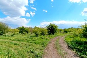 участок по адресу Затишна