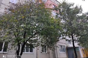 квартира по адресу Европейская ул. (Красноармейская), 9