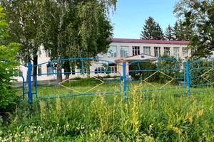 участок по адресу с. Дружня, Николая Петровского ул.