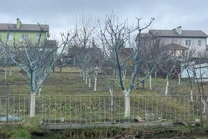 дом по адресу Леся Курбаса ул., 5