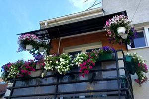 квартира за адресою Дмитра Котка вул., 4