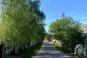 будинок за адресою Максима Березовського вул. (Попудренка)