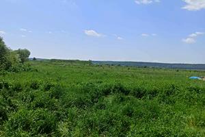 ділянка за адресою Центральна
