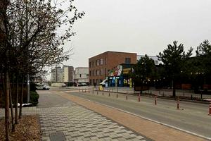 комерційна за адресою Практична вул., 4