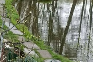 будинок за адресою Миколи Вінграновського вул. (Пушкіна)