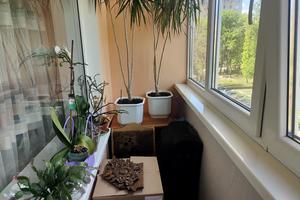 квартира за адресою Юності просп., 31