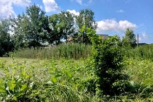 участок по адресу центральна, 1