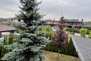 дом по адресу Берегова