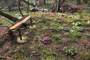 участок по адресу Заставненская ул., 38