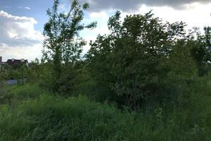 ділянка за адресою с. Лісові Гринівці, 