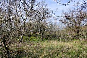 участок по адресу Ізумруд садове товариство, 407