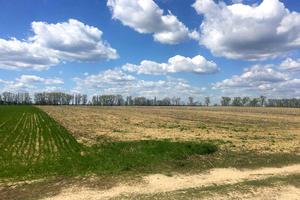 ділянка за адресою Лесі Українки