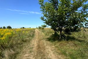участок по адресу Вишнёвая ул.