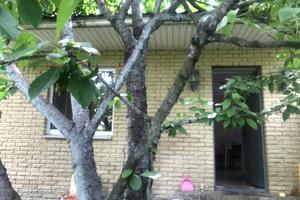 будинок за адресою Клавдії Радченка вул.