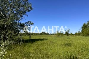 ділянка за адресою 