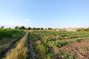 дом по адресу Лесі Українки, 57