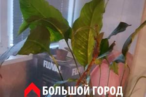 квартира по адресу Богдана Завады, 12