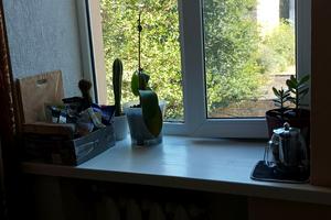квартира за адресою Івана Мазепи просп. (Петровського), 45