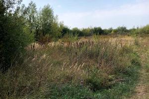 ділянка за адресою Мостиська, Ярослава Мудрого вул.