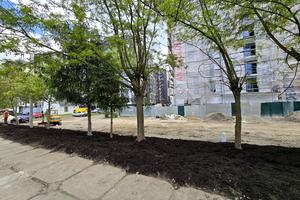 квартира по адресу Рінь, 30б