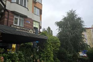 комерційна за адресою Анни Ахматової вул., 32/18