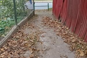 коммерческая по адресу Свободы просп., 1
