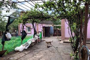 дом по адресу Одоевского ул., 63