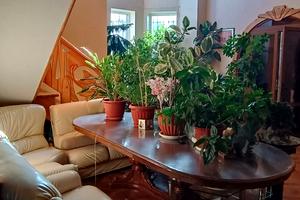 квартира за адресою Дніпро, Токмацька вул., 48