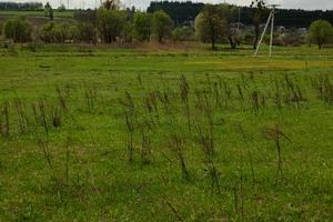 участок по адресу с. Кременище, Сіверська, 1