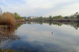 будинок за адресою Великокохнівська