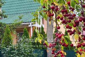 дом по адресу Вишневая, 22
